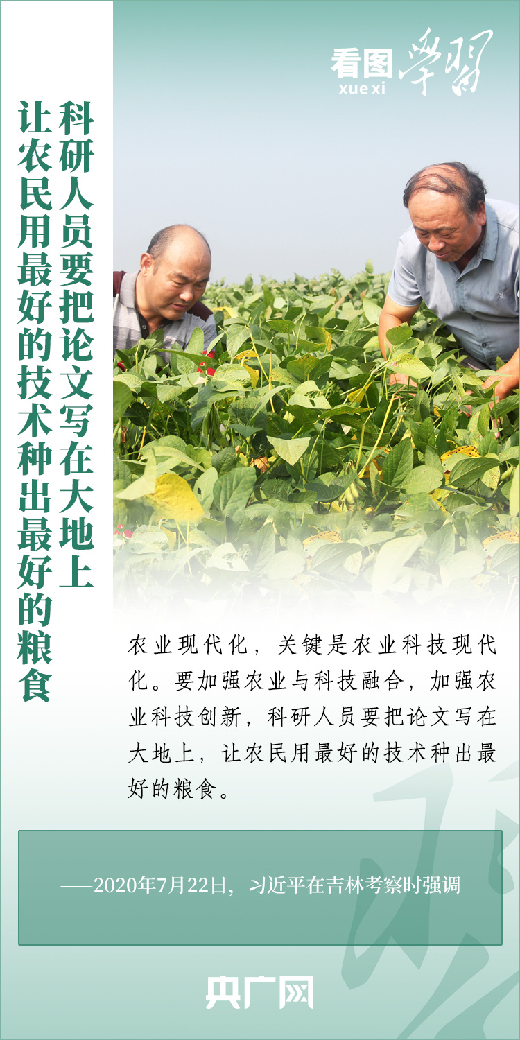 看圖學(xué)習(xí)丨推廣良田、良種、良法、良機 給農(nóng)業(yè)現(xiàn)代化插上科技的翅膀