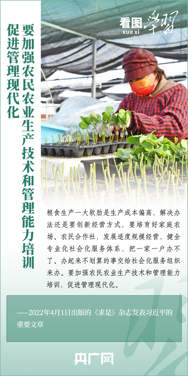 看圖學(xué)習(xí)丨推廣良田、良種、良法、良機 給農(nóng)業(yè)現(xiàn)代化插上科技的翅膀