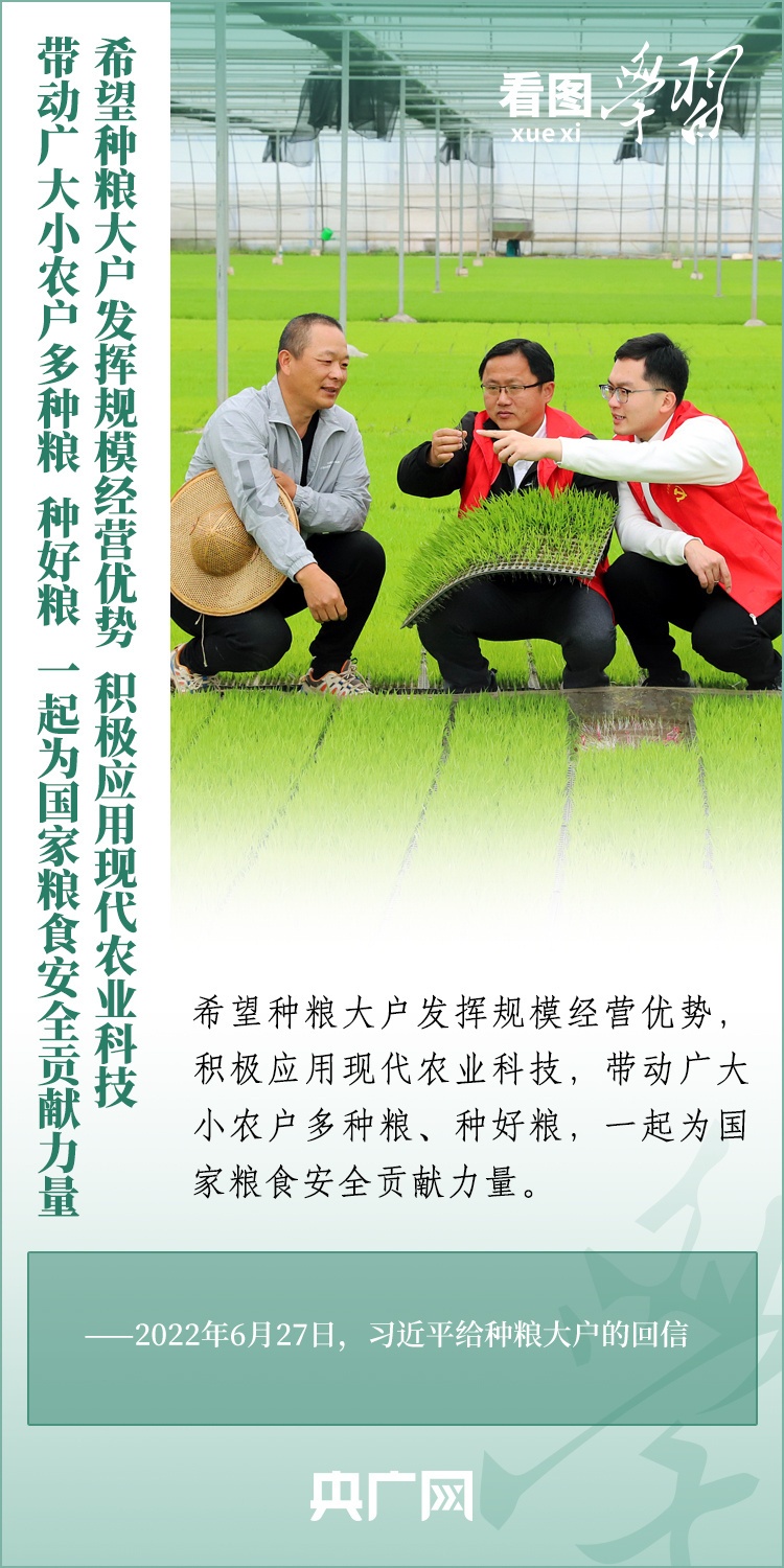 看圖學(xué)習(xí)丨推廣良田、良種、良法、良機 給農(nóng)業(yè)現(xiàn)代化插上科技的翅膀