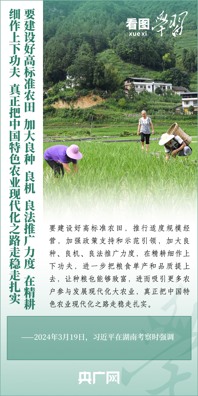 看圖學(xué)習(xí)丨推廣良田、良種、良法、良機 給農(nóng)業(yè)現(xiàn)代化插上科技的翅膀
