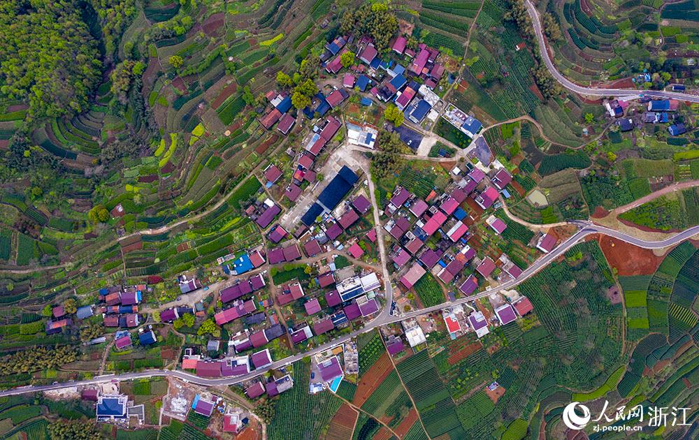 4月1日，紹興市新昌縣東茗鄉(xiāng)下巖貝村風(fēng)光秀麗，茶園旖旎。人民網(wǎng) 章勇濤攝