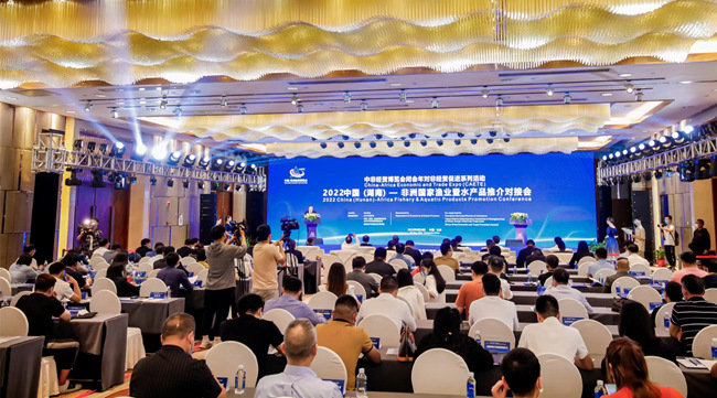 對接會現(xiàn)場。湖南省商務(wù)廳供圖