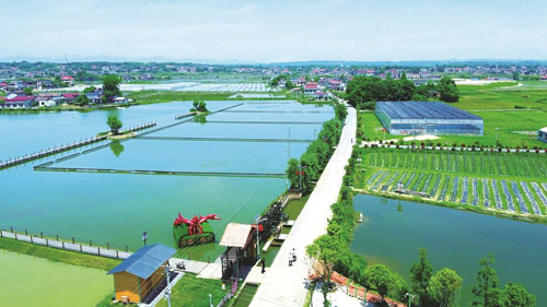 近年來(lái)，大成橋鎮(zhèn)堅(jiān)持加強(qiáng)黨對(duì)鄉(xiāng)村治理的集中統(tǒng)一領(lǐng)導(dǎo)，該鎮(zhèn)鄉(xiāng)村治理模式入選第二批全國(guó)鄉(xiāng)村治理典型案例。圖為美麗的大成橋鎮(zhèn)。（資料圖片）