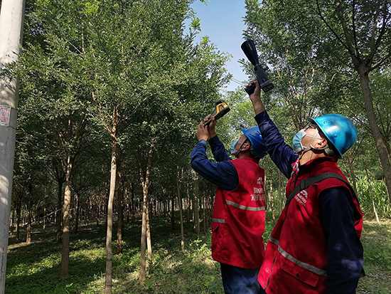 工作人員進行紅外測溫及超聲波局部放電檢測。 王亮攝