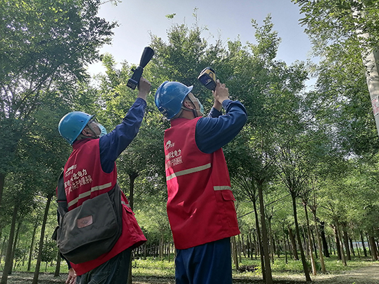 工作人員進行紅外測溫及超聲波局部放電檢測。 王亮攝