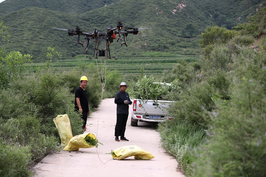 在石家莊市井陘縣吳家窯鄉(xiāng)長(zhǎng)峪村荒山造林現(xiàn)場(chǎng)，一名無人機(jī)手操控?zé)o人機(jī)運(yùn)輸樹苗。王保龍攝