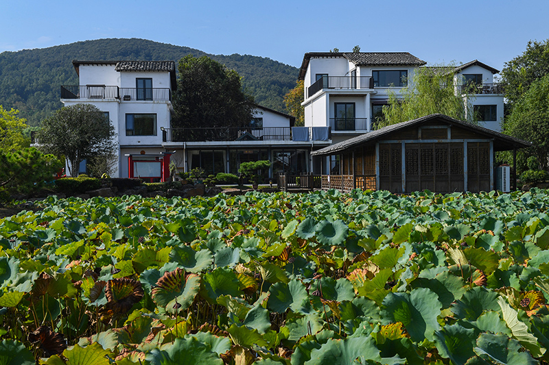 雨悅山房負(fù)責(zé)人原來在馬達(dá)加斯加打理酒店，之所以“從馬達(dá)加斯加到肥東”，源于對(duì)家鄉(xiāng)民宿前景看好。吳芳攝