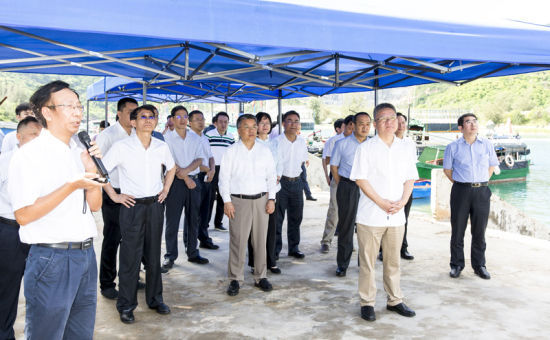 2019年6月21日上午，省長沈曉明率省政府班子成員在三亞鐵爐港調(diào)研項(xiàng)目規(guī)劃建設(shè)情況。海南日報(bào)記者 宋國強(qiáng) 攝