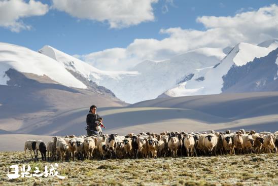 治愈你的不止曠野，更是真實的生活