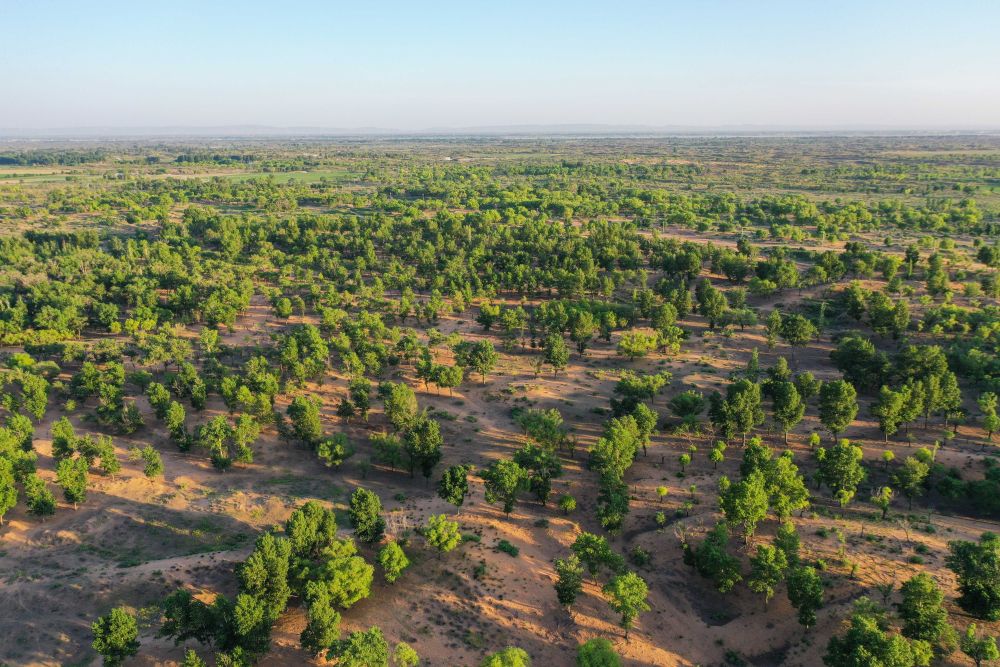 鏡觀·回響丨西部生態(tài)建設：以高水平保護支撐高質量發(fā)展