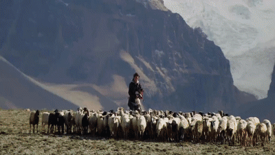 你看了嗎？藏語版《日光之城》“含金量”還在上升！