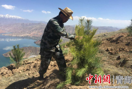 圖為尖扎干部職工生態(tài)建設(shè)和環(huán)境保護現(xiàn)場。尖宣 供圖