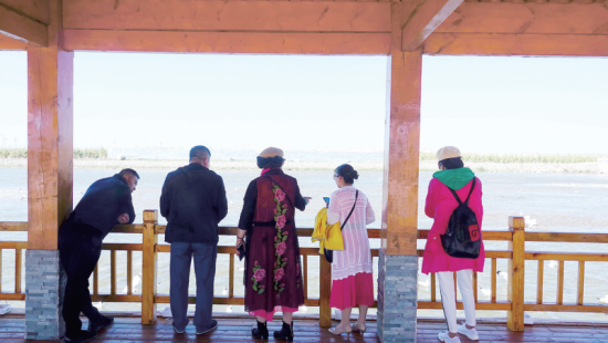 湟魚洄游奇觀吸引游人。