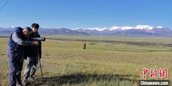 圖為工作人員正在進(jìn)行黑頸鶴衛(wèi)星跟蹤和環(huán)志工作?!∑钸B山國(guó)家公園青海省管理局供圖 攝