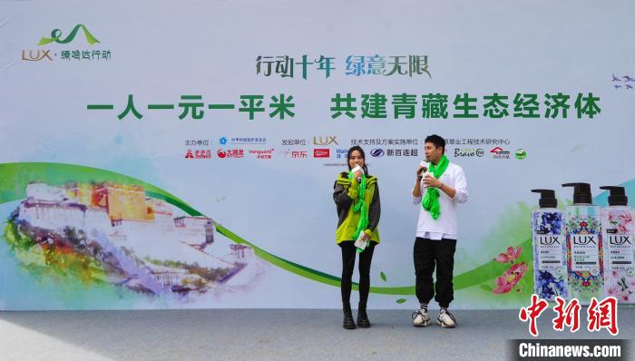“綠哈達(dá)”西藏10年植綠1.5萬余畝共建青藏生態(tài)經(jīng)濟體