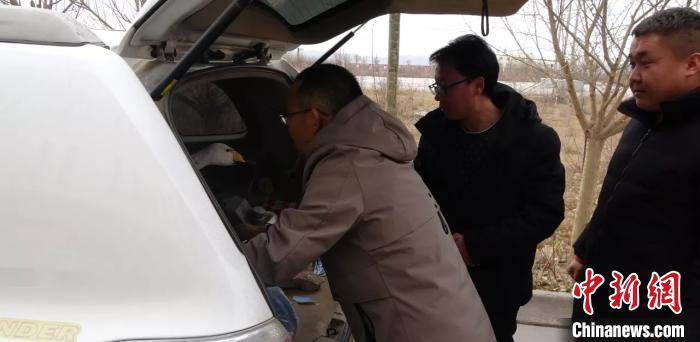 圖為民警救助國(guó)家二級(jí)保護(hù)動(dòng)物——大天鵝。青海省公安廳森林警察總隊(duì)供圖