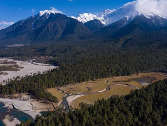 資料圖：西藏崗云杉林與遠(yuǎn)處的雪峰。 何蓬磊 攝