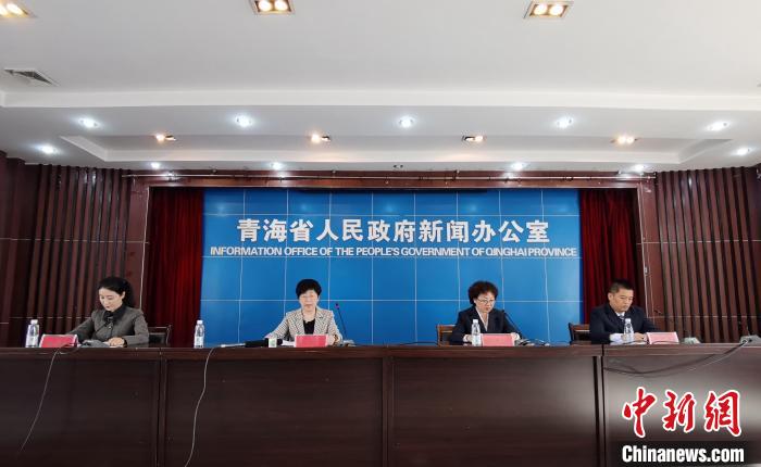 青海“十四五”重點(diǎn)對(duì)政策落實(shí)、資源環(huán)境等九方面“經(jīng)濟(jì)體檢”