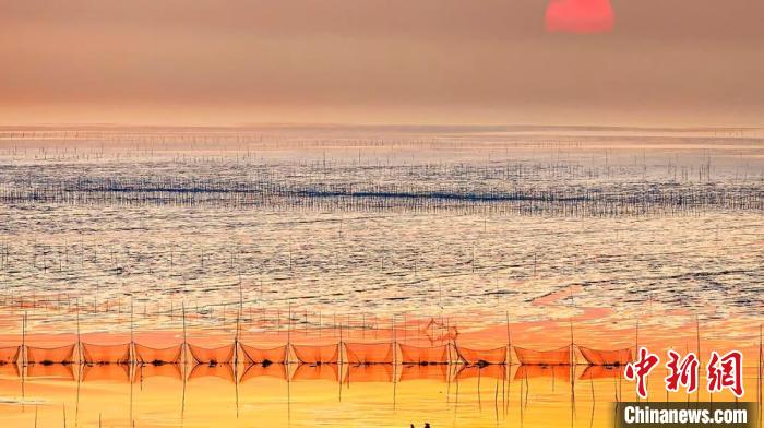 江蘇鹽城被譽(yù)為金灘銀蕩、魚米之鄉(xiāng)?！←}城市委宣傳部供圖