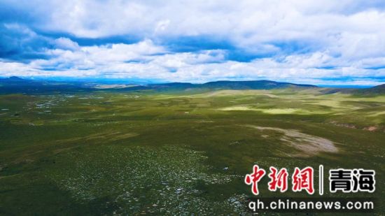 圖為長(zhǎng)江南源沼澤濕地。李江寧攝