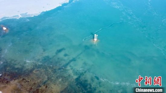 圖為冬日青海湖?！±罱瓕帯z