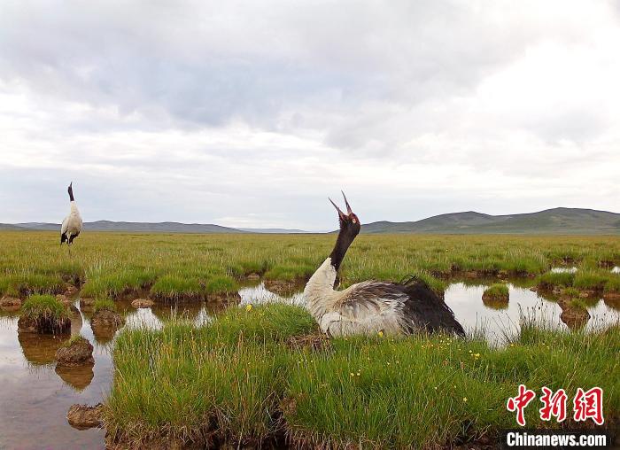 青海護衛(wèi)“中華水塔”守護“青海藍”