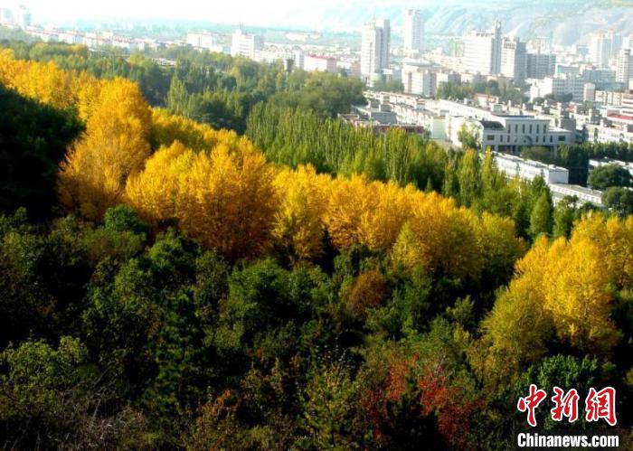 青海:2021年完成義務(wù)植樹(shù)1910萬(wàn)株