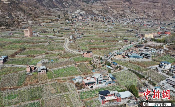 潔白的李花與村寨交相輝映，勾勒出一幅美麗的和諧生態(tài)畫卷?！『吻搴?攝