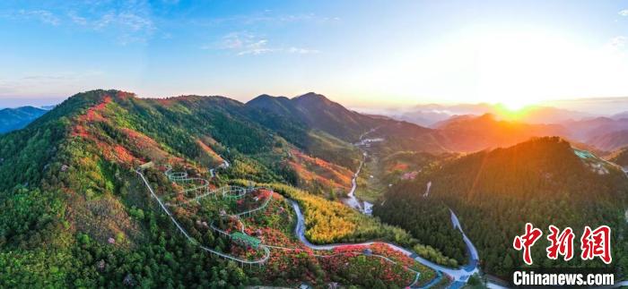 “杜鵑花癡”助民眾端起“生態(tài)碗”:綠水青山引客來