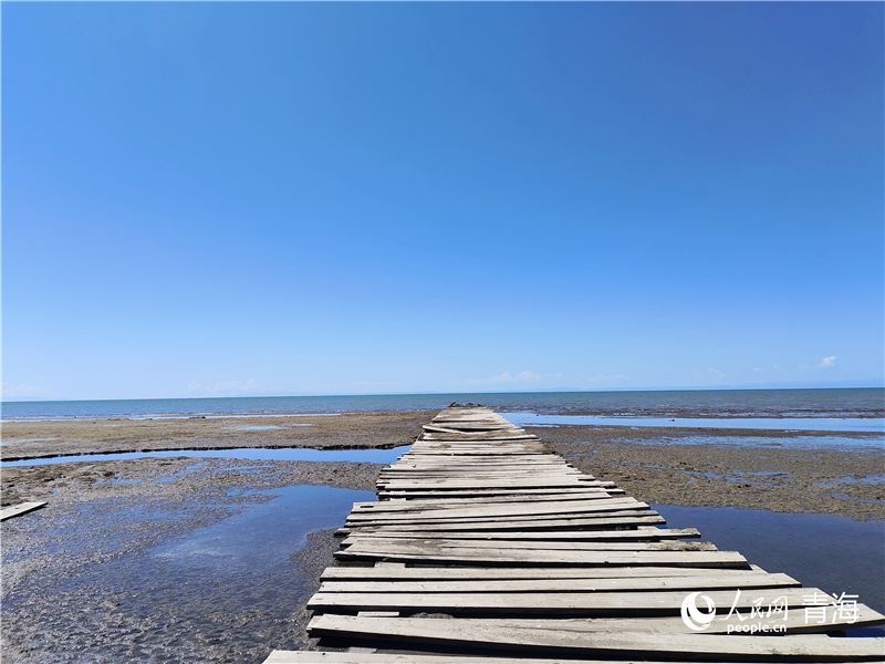   青海湖仙女灣。人民網(wǎng) 張莉萍攝