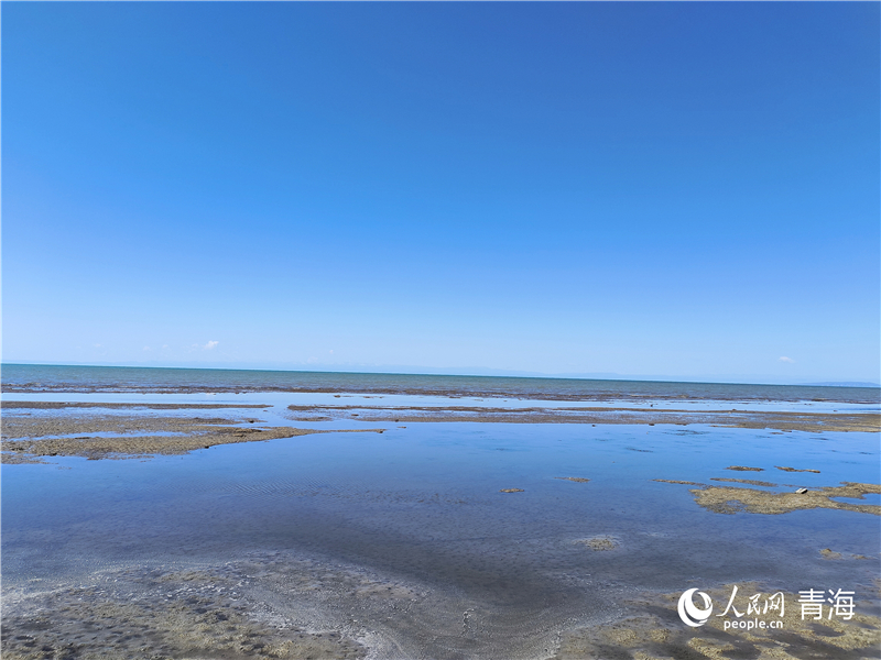   青海湖仙女灣。人民網(wǎng) 張莉萍攝