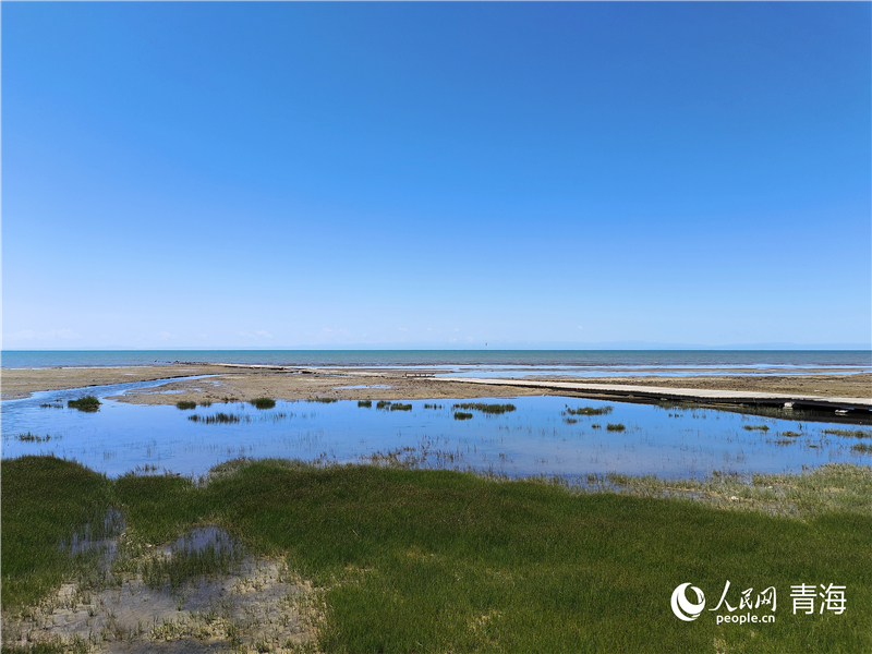   青海湖仙女灣。人民網(wǎng) 張莉萍攝