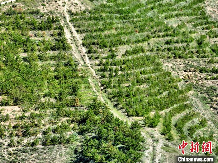 航拍建行青海省分行綠化區(qū)?！∑钤鲚?攝