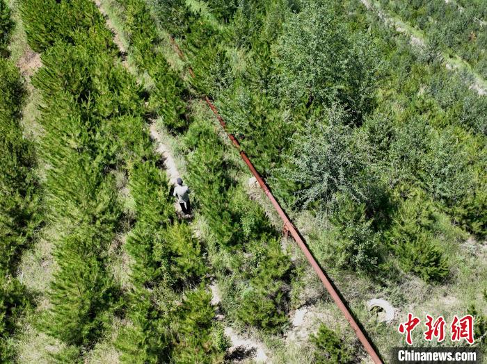 航拍建行青海省分行綠化區(qū)施工隊隊長盧占祥正在巡護綠化區(qū)?！∑钤鲚?攝