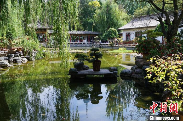 圖為西寧園林植物園秋日風(fēng)景別有韻味。　馬銘言 攝