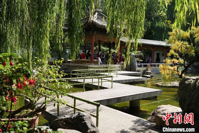 圖為西寧園林植物園秋日風(fēng)景別有韻味?！●R銘言 攝