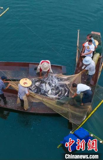 捕魚現(xiàn)場?！≈鬓k方供圖