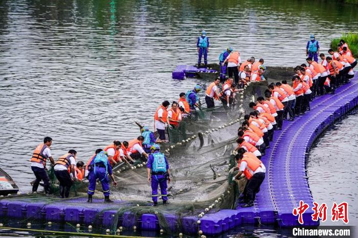 捕撈現(xiàn)場?！≈鬓k方供圖