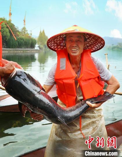 工作人員展示捕撈成果?！≈鬓k方供圖