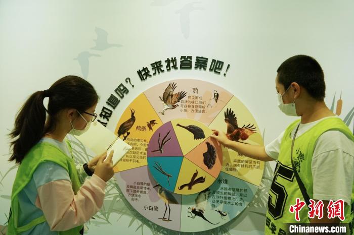圖為小朋友在青海西寧湟水國家濕地公園科普館內(nèi)參觀學習。　馬銘言 攝