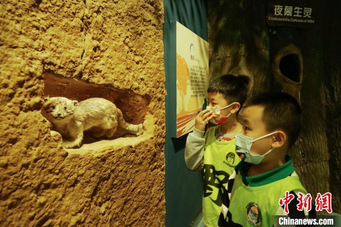 圖為小朋友在青海西寧湟水國家濕地公園科普館內(nèi)參觀學習?！●R銘言 攝