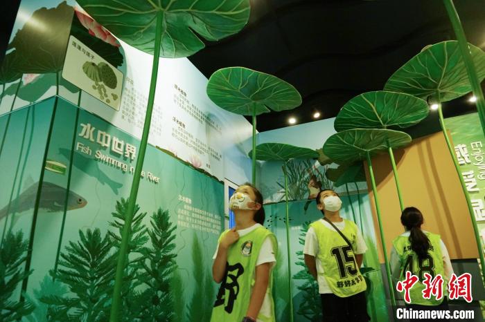 圖為小朋友在青海西寧湟水國家濕地公園科普館內(nèi)參觀學習?！●R銘言 攝