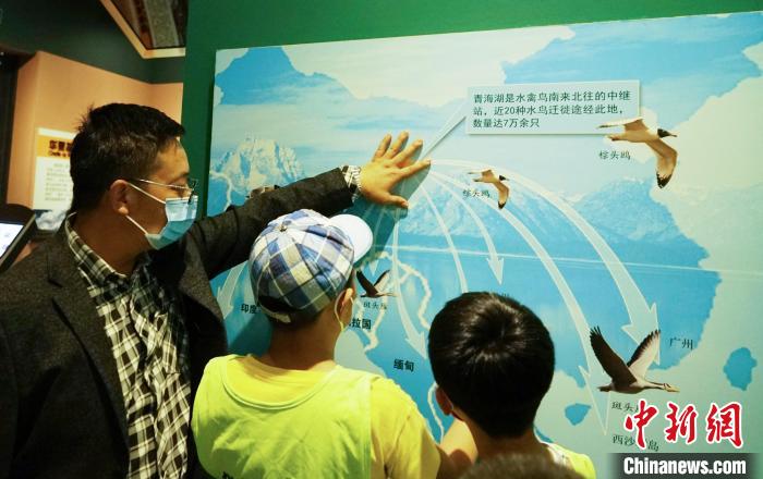 圖為小朋友在青海西寧湟水國家濕地公園科普館內(nèi)參觀學習?！●R銘言 攝