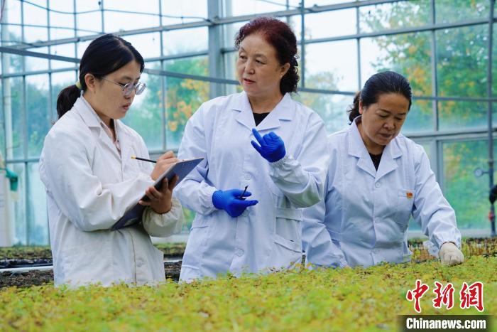 圖為張錦梅(中)與同事在討論數(shù)據(jù)。馬銘言 攝