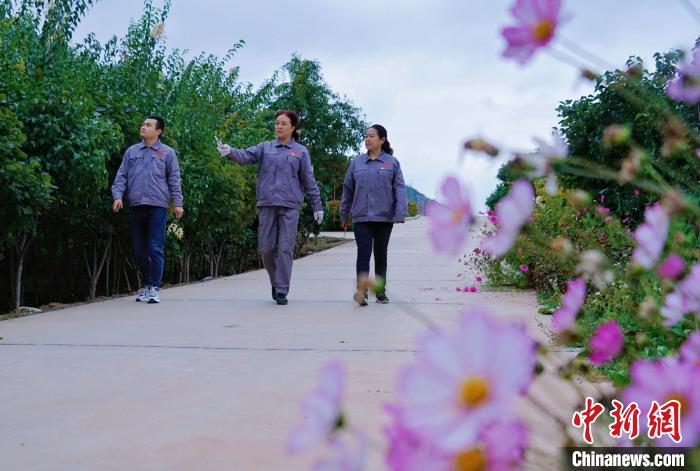 圖為張錦梅(中)與同事在西寧北山查看丁香樹?！●R銘言 攝