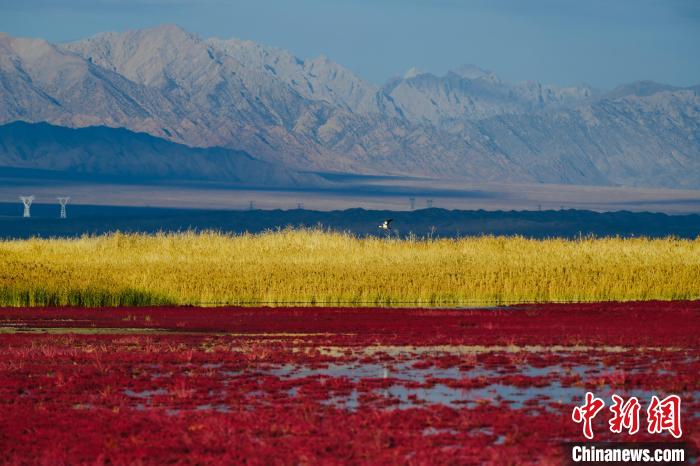 圖為柴達木盆地可魯克湖?！」?攝