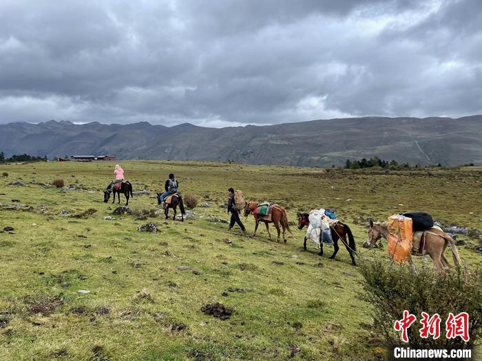 圖為9月26日游客騎馬領(lǐng)略尼汝村高原牧場風光。 <a target='_blank' href='/'><p  align=