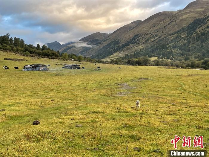 圖為9月27日新沾牧場的早晨景色。 <a target='_blank' href='/'><p  align=