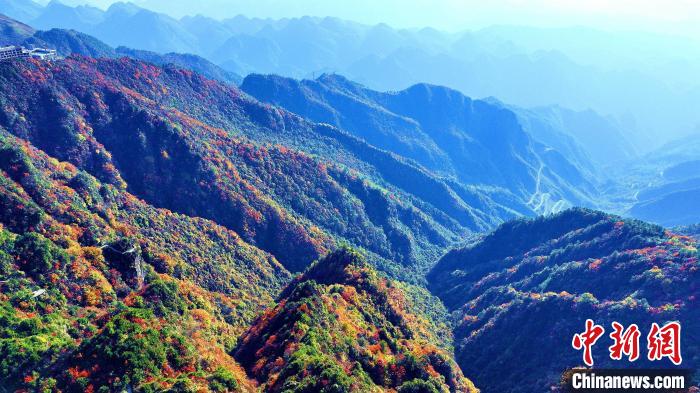 巴山大峽谷彩林迎來最佳觀賞期?！埰?攝