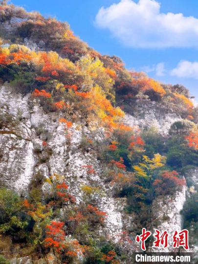 彩林色彩斑斕?！≈炱桨?攝